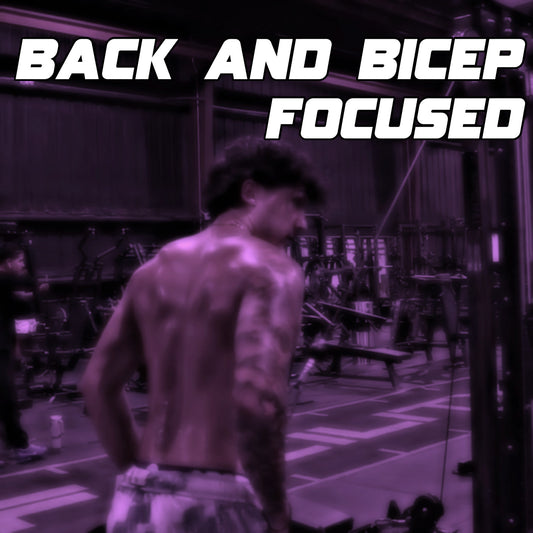 Back/Bicep Focused Training